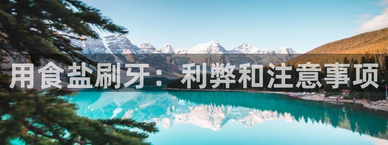 威九国际78m域名