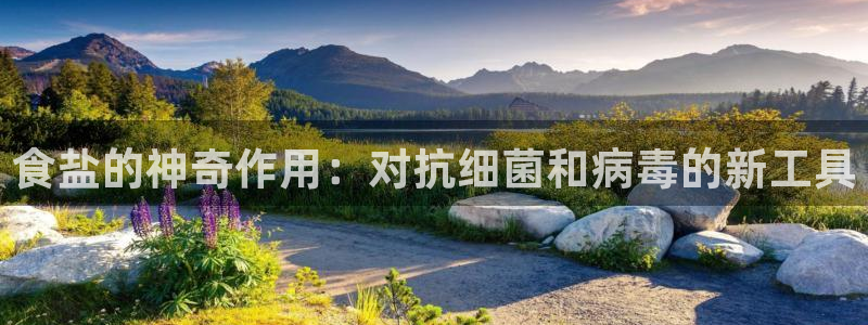 威九国际APP大全