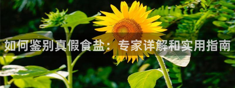 威九国际客服电话号码