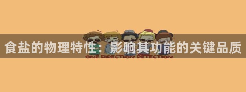 威九国际FT：食盐的物理特性：影响其功能的关键品质
