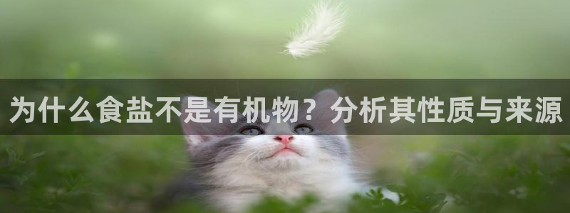 威九国际网站入口官网首页下载