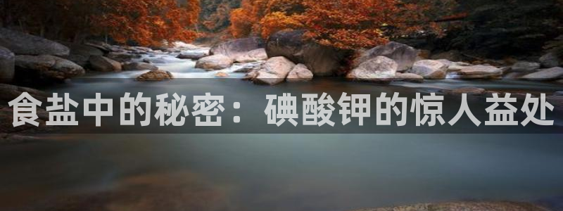威九国际HP
