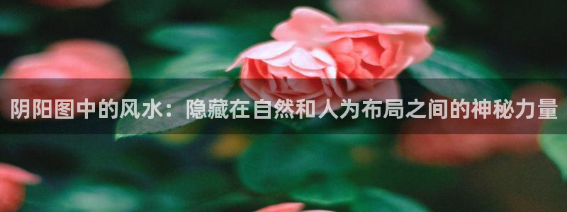 人道大圣笔下文学：阴阳图中的风水：隐藏在自然和人为布局之间的神秘力量