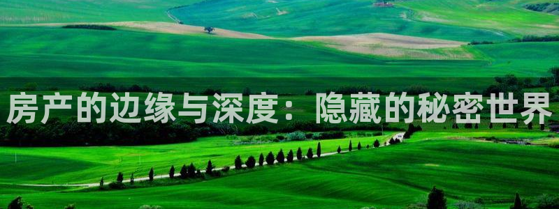 笔下文学网txt免费全本小说：房产的边缘与深度：隐藏的秘密世界